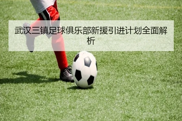 武汉三镇足球俱乐部新援引进计划全面解析