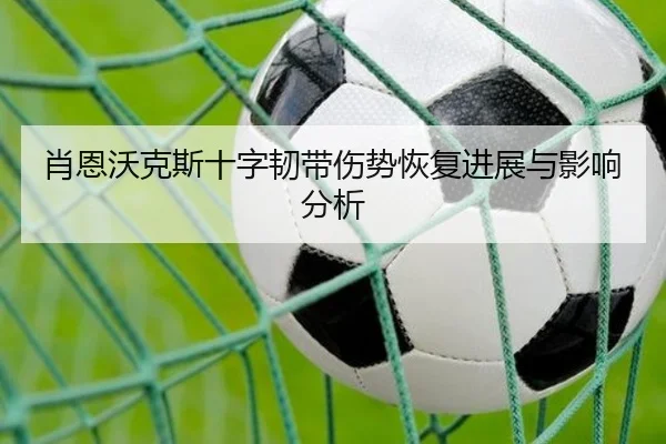 肖恩沃克斯十字韧带伤势恢复进展与影响分析